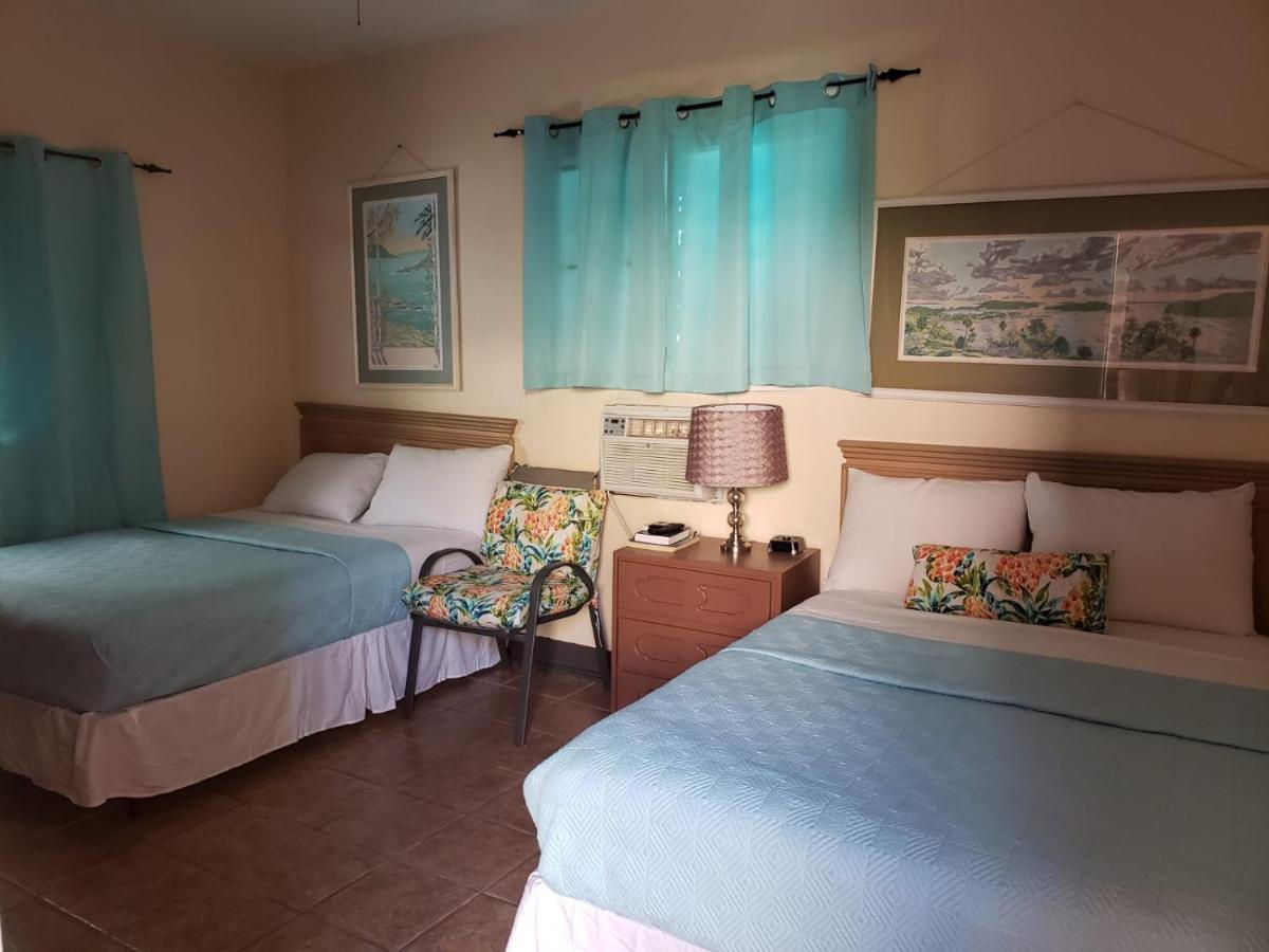Midtown Guest House 샬롯아말리에 외부 사진